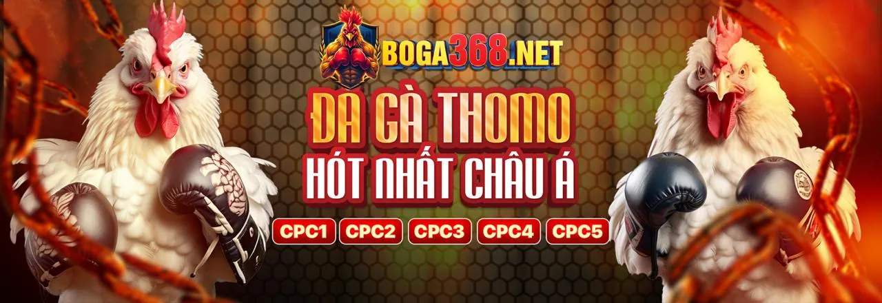 Sân đấu đá gà trực tuyến sôi động tại gk88d